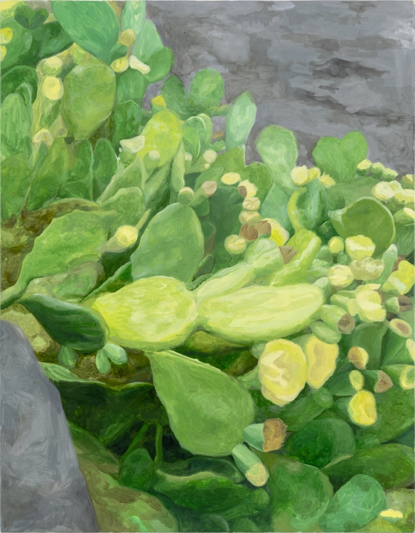 A seedless watermelon, thornless cactus_Yerim Choi